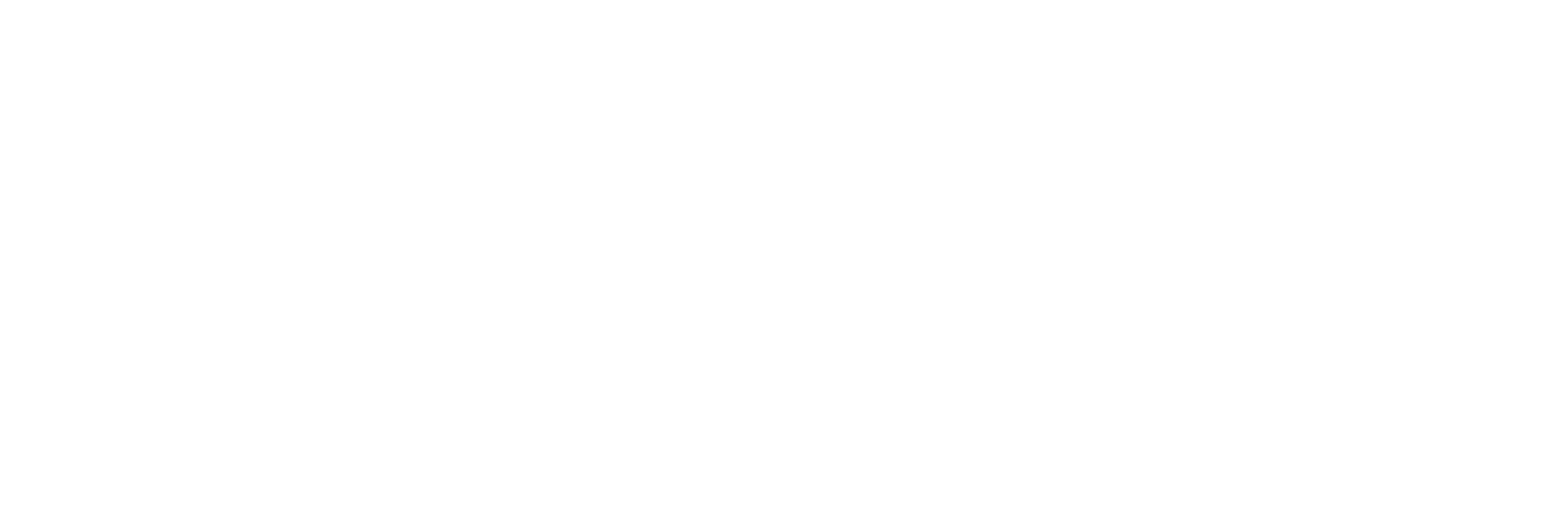 nl dentistry logo white